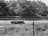 The Ferrari 500 TR is captured hurtling along the Monza Circuit in June 1956.