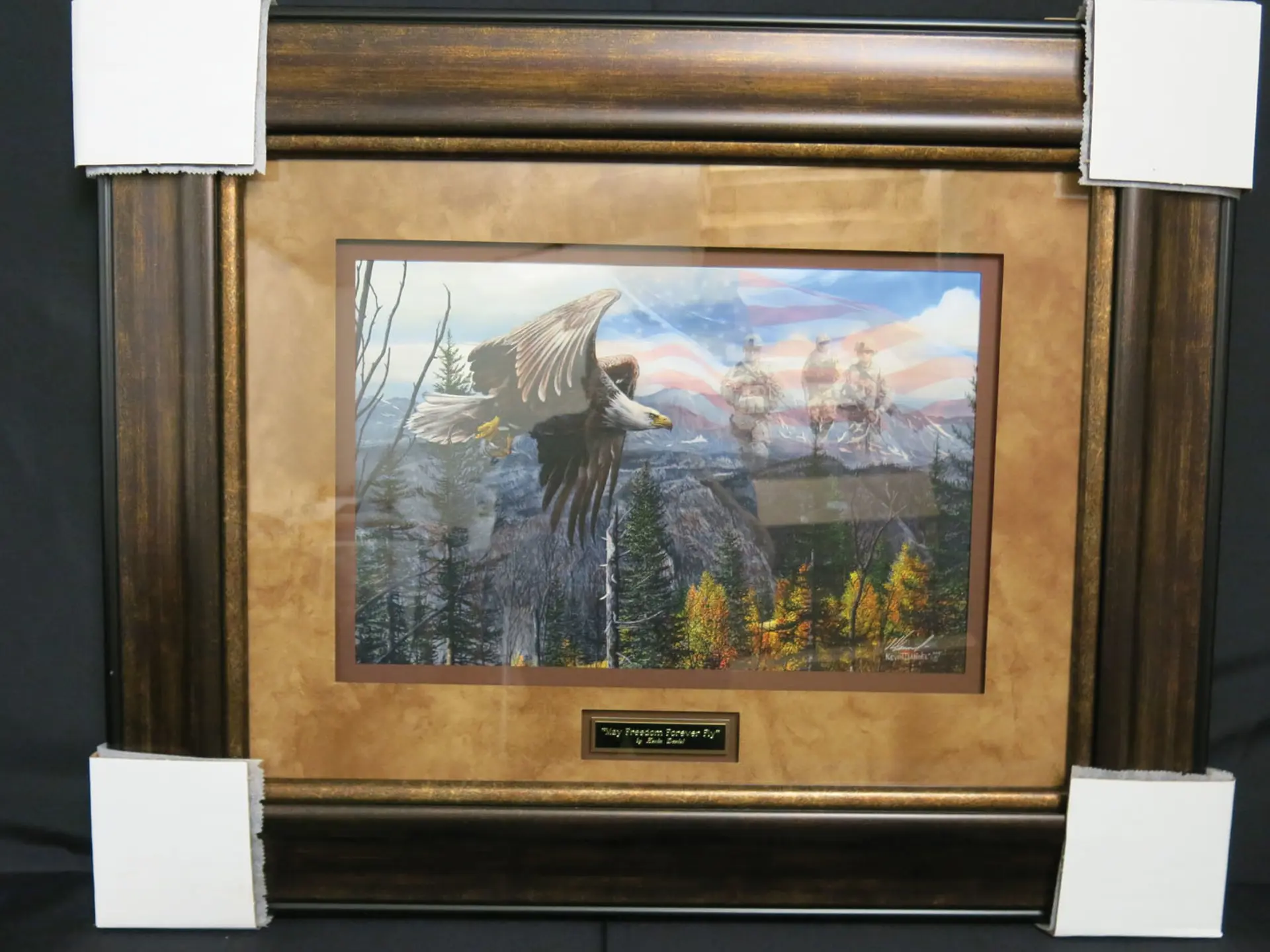 May freedom forever fly by kevin daniel all proceeds go to salvation