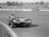 Chassis no. XKD 501 as seen at the 1955 Goodwood 9 Hours, where it finished 2nd. 