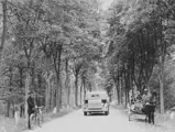 Highway South of Osie (Pomerania), 1934.