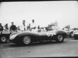 Starr Calvert racing our D-Type at the Rose Cup Races in Oregon on June 11, 1961. Sitting on the front row of the starting grid, XKD 558 was competing against Stan Burnett’s Chevrolet Special and Jerry Grant’s Ferrari 250 Testa Rossa (0704 TR).